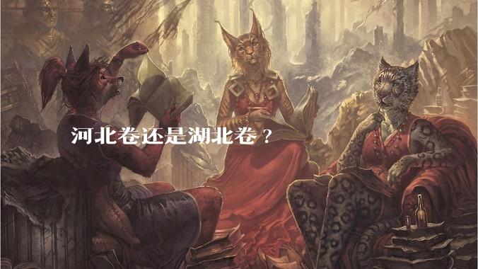 河北卷还是湖北卷?